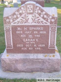 Sarah E. Brown Sparks