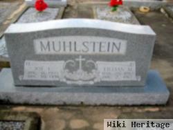 Joe L Muhlstein