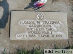 Joseph W Trosper