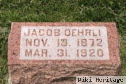 Jacob Oehrli, Jr