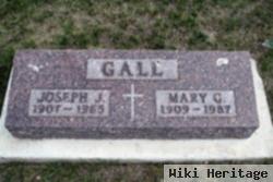 Joseph J Gall