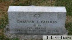 Chester J Falloon