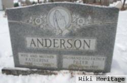 Peter J Anderson