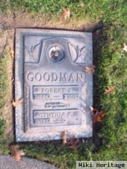 Robert James Goodman