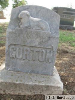 Infant Gorton