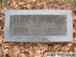 Alice G. Morton