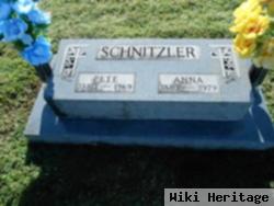 Anna Sybilla Dill Schnitzler