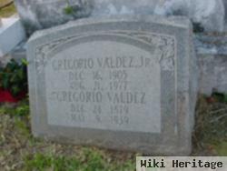 Gregorio Valdez, Jr