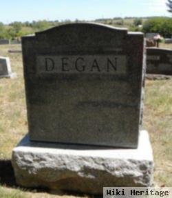 David I Degan