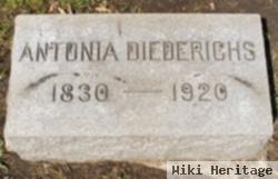 Antonia Diederichs