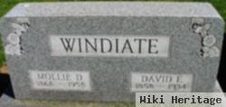 David E Windiate