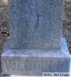 Mary Ann Burch Wampler