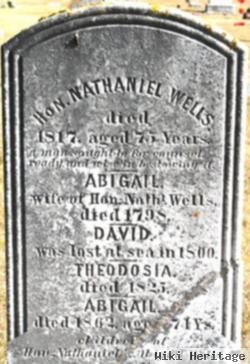 Nathaniel Wells