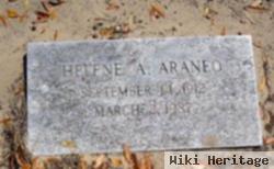 Helene A Fitzpatrick Araneo