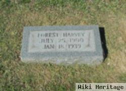 Forest Harvey