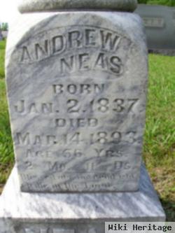 Andrew Neas