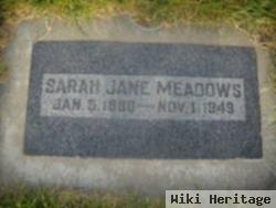 Sarah Jane Holmes Meadows- Cook