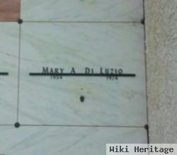 Mary A Diluzio