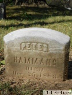 Peter Hammang