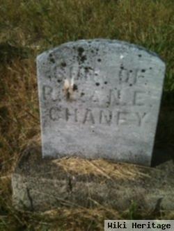 Son Of R. E. & N. E. Chaney