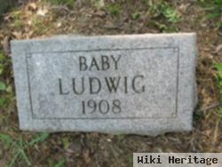 Baby Ludwig