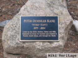 Peter Demmler Kane