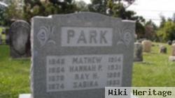 Mathew Park