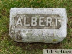 Albert Storms