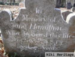 Jane Hamilton