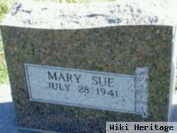 Mary Sue Hunter