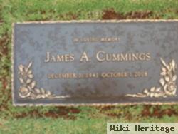 James Alton Cummings