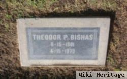 Theodor P Bishas