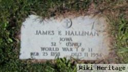 James E Hallinan