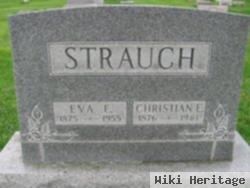 Eva E Strauch