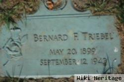 Bernard Fritz "ben" Triebel