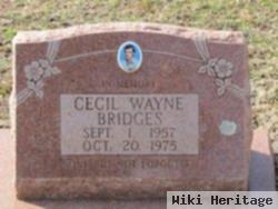 Cecil Wayne Bridges