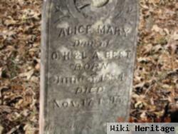 Alice Mary Best