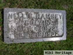 Nellie Ramsey Colvin