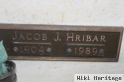 Jacob J Hribar