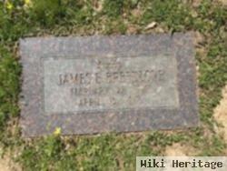 James Elliot Breedlove