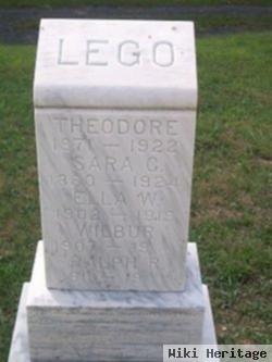 Theodore Nelson Lego