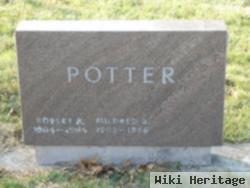Robert P Potter