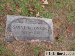 Sara E Wilkinson