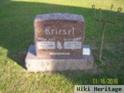 Albert P Kriesel