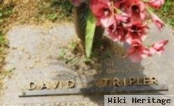 David Scott Tripler