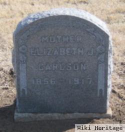 Elizabeth J Carlson