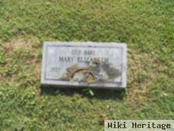 Mary Elizabeth Van Schoick