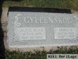 Alice Read Gyllenskog