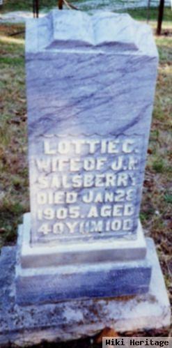 Charlotte C "lottie" Hamilton Salsberry