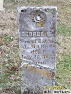 George W. Marsh